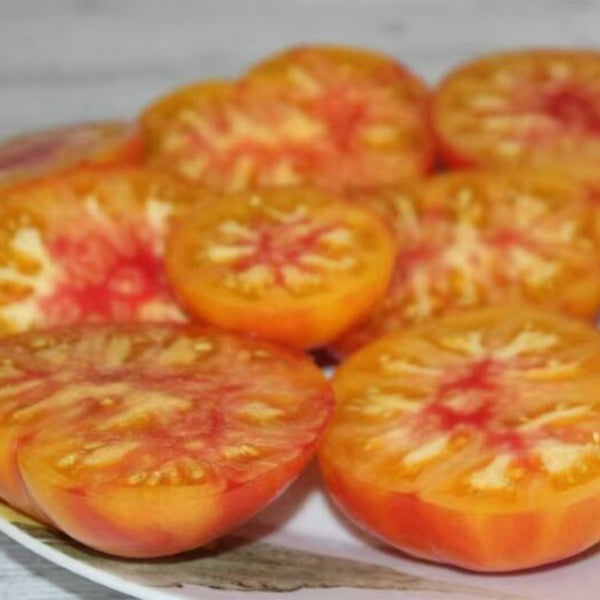 1037 Honey Avenue Tomato, 5 Seeds