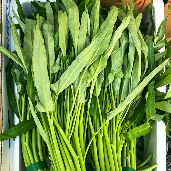 Jiemei New Green Willow Leaf Water Spinach Seeds, 500g