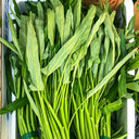 Jiemei New Green Willow Leaf Water Spinach Seeds, 500g
