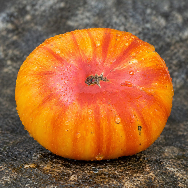 95 Dwarf Big Orange Stripe Tomato, 5 Seeds