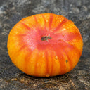 95 Dwarf Big Orange Stripe Tomato, 5 Seeds