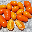 476 Orangey Tomato, 5 Seeds