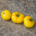 357 Casey's Pure Yellow Tomato, 5 Seeds