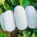 Baoqi Taro-Scented Winter Melon, 50 Seeds