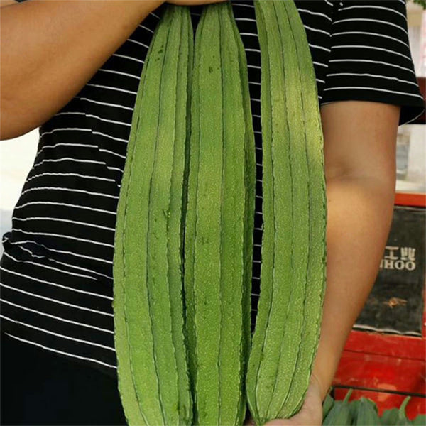 Meiling No.2 Luffa Seeds, 10g