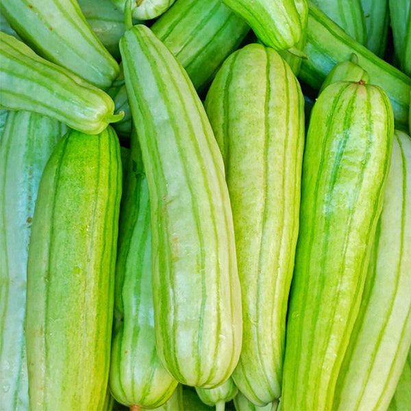 Ketian Brand White-Veined White Melon Seeds, 10g