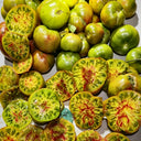 765 Feather Tomato, 5 Seeds