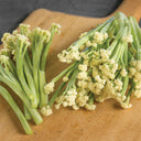 Sweet & Crisp Sprouting Cauliflower No.1 Hybrid Seeds, 30 Seeds