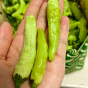 White Wrinkled Xiaomila Chili Pepper Seeds, 1800 Seeds