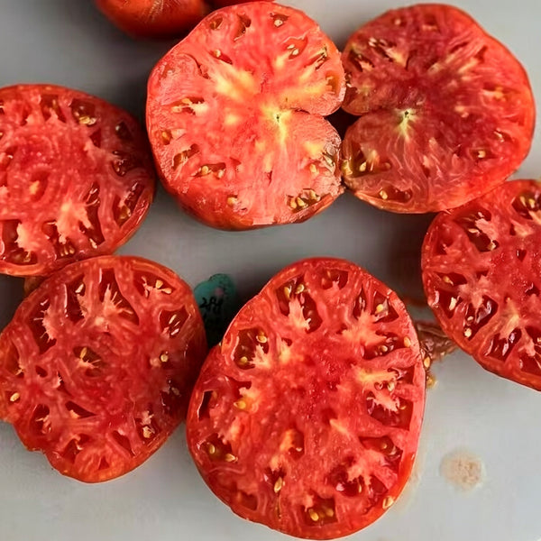 865 Galact Tomato, 5 Seeds