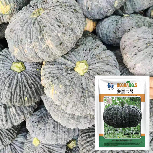 Honey Black No.2 Pumpkin Seeds, 10g