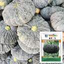 Honey Black No.2 Pumpkin Seeds, 10g