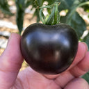 W1357 Blueberry Fruit Tomato, 100 Seeds