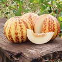 Tiger Melon, 10-15 Seeds