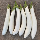 White 013 Eggplant, 20 Seeds