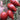 Super Sweet Mango Honey Tomato, 10 Seeds