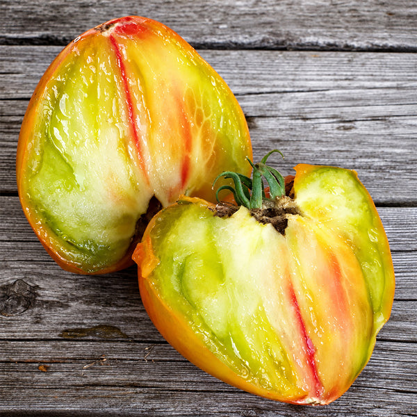 273 True Colors Tomato, 5 Seeds
