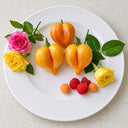 483 Eden's Garden No. 6 F5 Tomato, 5 Seeds