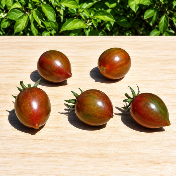 143 Purple Fairy Dwarf Tomato, 5 Seeds