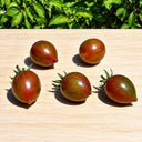 143 Purple Fairy Dwarf Tomato, 5 Seeds