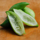 Slipper Gourd Seeds, 50 Seeds