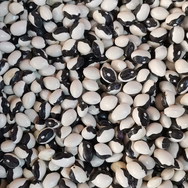 'Rabbit's White Eye' Oil Bean, 50 Seeds
