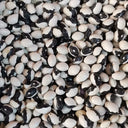 'Rabbit's White Eye' Oil Bean, 50 Seeds