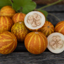 Queen Anne's Pocket Melon, 20 Seeds