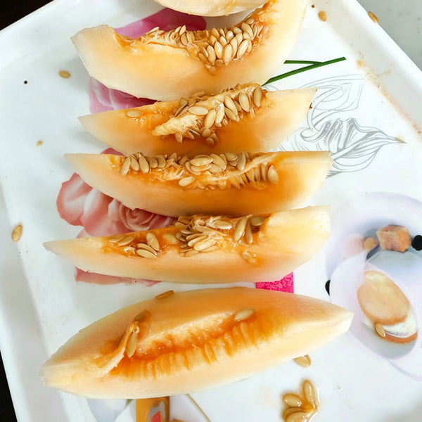 Caidu Jinyu No.12 F1 Melon, 15 Loose Seeds