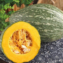 Jingyan Olive-shaped Pumpkin Seeds, 10 Seeds