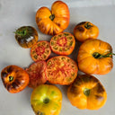 877 Blue Pineapple Blush Tomato, 5 Seeds