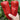 Conical Red Sweet Pepper Seeds, 0.5g