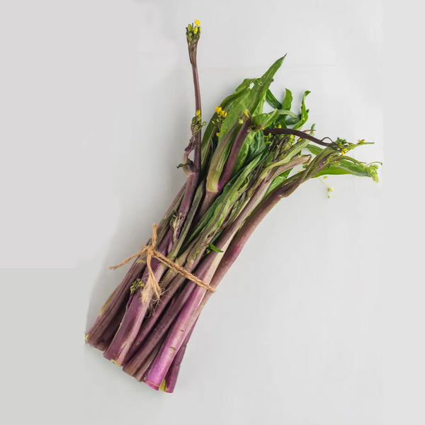 'Jiuhua' Flowering Stalk Seeds, 10g