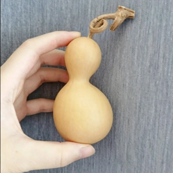 Small Bottle Gourd, 10 Seeds