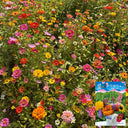 Wildflower Mix, 1000 Seeds