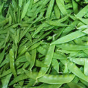 'Improved 604' Snow Pea Seeds, 30g