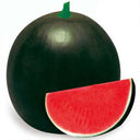 'Obsidian Sweet' Seedless Watermelon Seeds, 20 Seeds