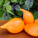 927 Buratino Tomato, 5 Seeds