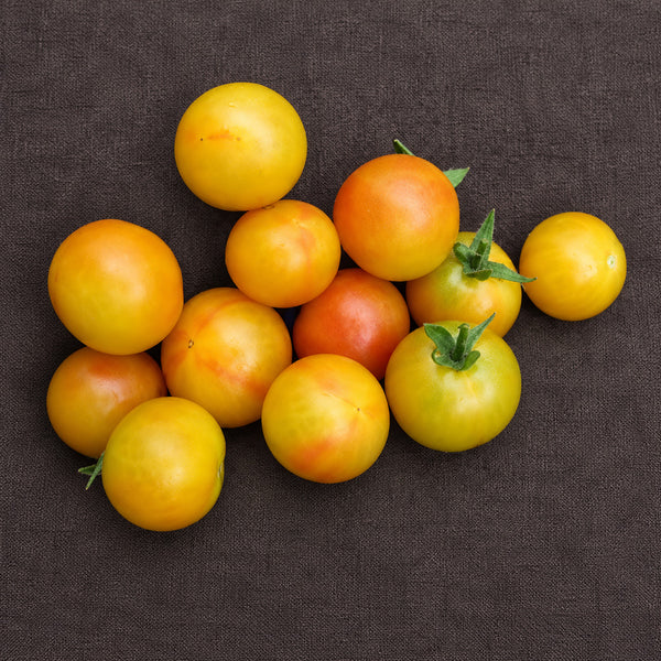 366 Marizol Magic Tomato, 5 Seeds