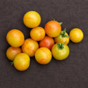 366 Marizol Magic Tomato, 5 Seeds