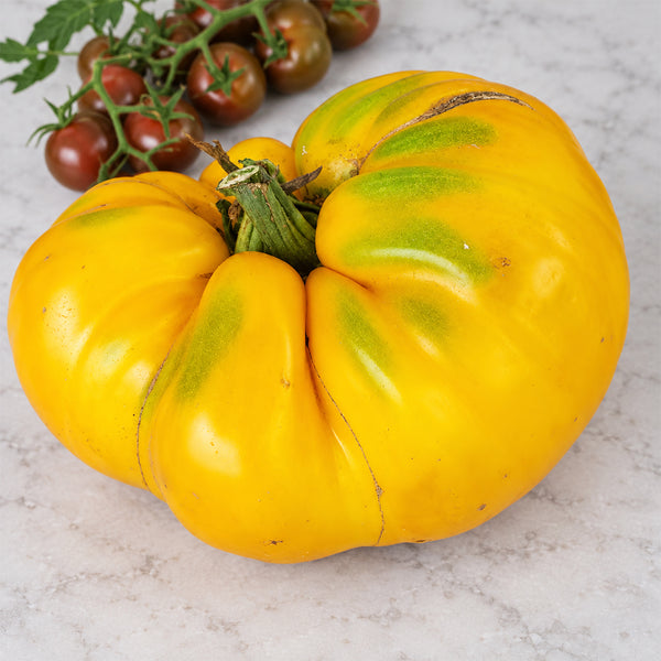 422 Tsarevich Tomato, 5 Seeds