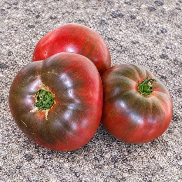 405 Violet Noir Tomato, 5 Seeds