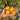 509 Big Cheef Stripes Yellow Tomato, 5 Seeds