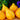 585 Zailiyskiy Alatau Yellow Tomato, 5 Seeds
