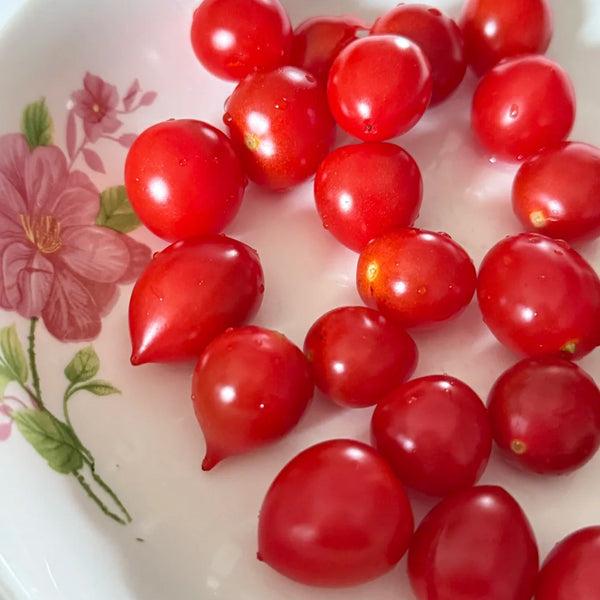 'Jingfan Fenxing No.2' Tomato, 10 Seeds
