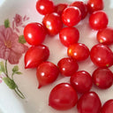 'Jingfan Fenxing No.2' Tomato, 10 Seeds