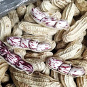 Rainbow Peanut, 20 Seeds