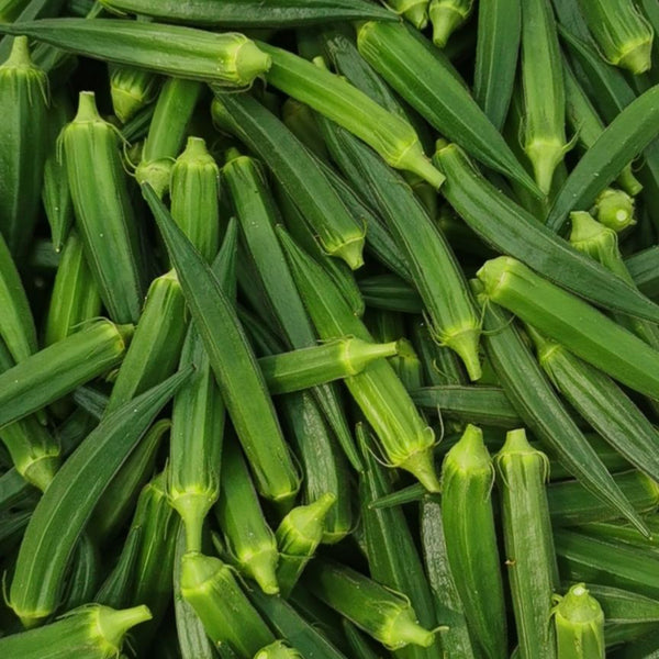 Lianglv No.2 Okra Seeds, 10g