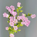 Canterbury Bells, Pink
