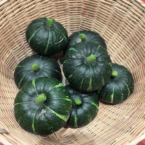 Green Baby Pumpkin Seeds, 50 Seeds